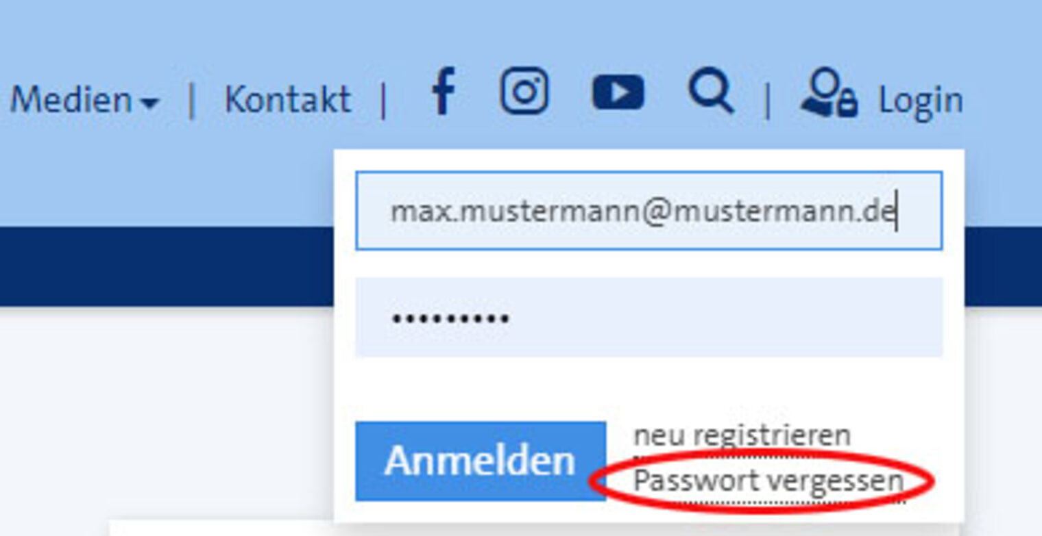 Screenshot Login-Bereich | Funktion Passwort vergessen